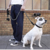 Purlov Reflective training leash 5m 21655 - (16654-0)