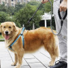 Purlov Reflective training leash 5m 21655 - (16654-0)