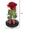 Ruhhy Rose In Glass - Shining 25682 - (18183-0)