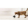 ENABOT Intelligent Companion Robot Rolamini - (WH287308)
