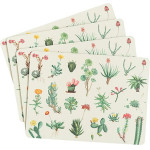 Erik ��� 4 ������ Botanical Cacti By Kokonote