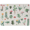 Erik ��� 4 ������ Botanical Cacti By Kokonote
