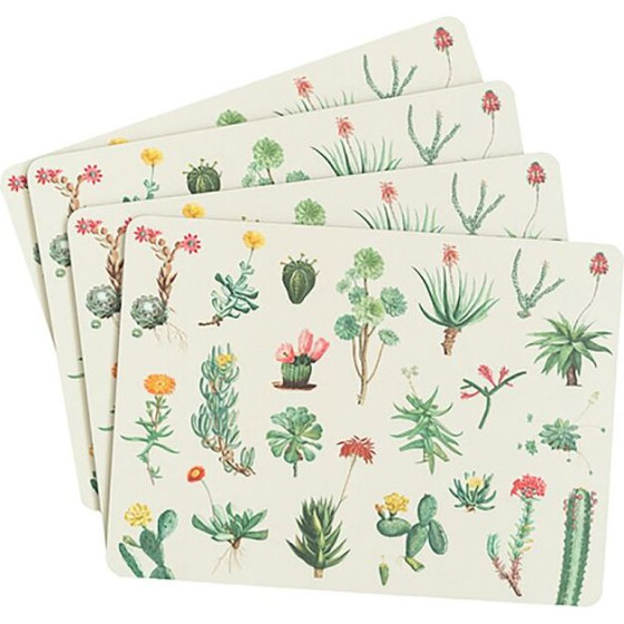Erik ��� 4 ������ Botanical Cacti By Kokonote