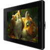 Huion Kamvas Pro 13 tablet �������� - (GT133)