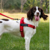 Dog Harness Reflective Silk Size Xs Red OEM