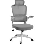 Havit Gaming ������� - Redragon C214W WHITE