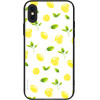 Sonique ���� Fruit Series ��� Apple Iphone X / Iphone Xs ������ 01