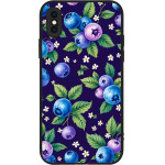 Sonique ���� Fruit Series ��� Apple Iphone X / Iphone Xs ������� 01