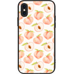 Sonique ���� Fruit Series ��� Apple Iphone X / Iphone Xs ��������