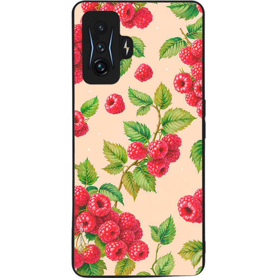 Sonique ���� Fruit Series ��� Xiaomi Poco F4 Gt 5G ���������