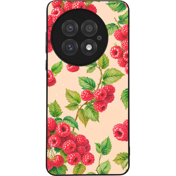 Sonique ���� Fruit Series ��� Oneplus 13 5G ���������
