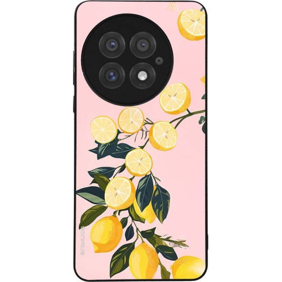 Sonique ���� Fruit Series ��� Oneplus 13 5G ������