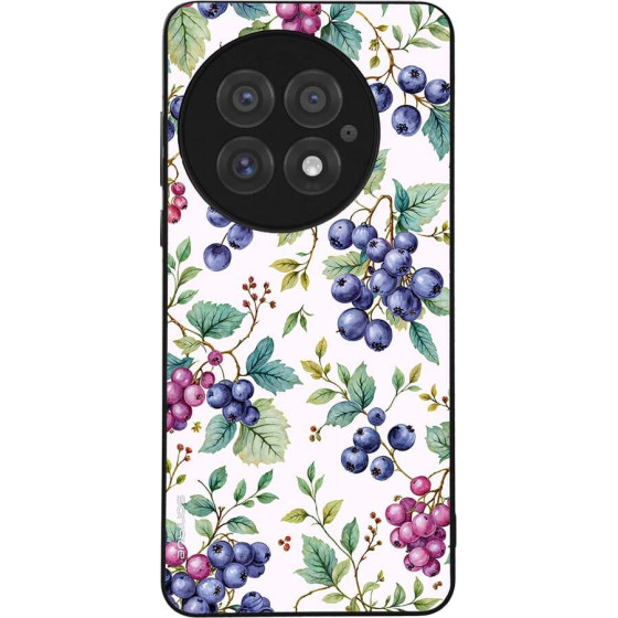 Sonique ���� Fruit Series ��� Oneplus 13 5G �������