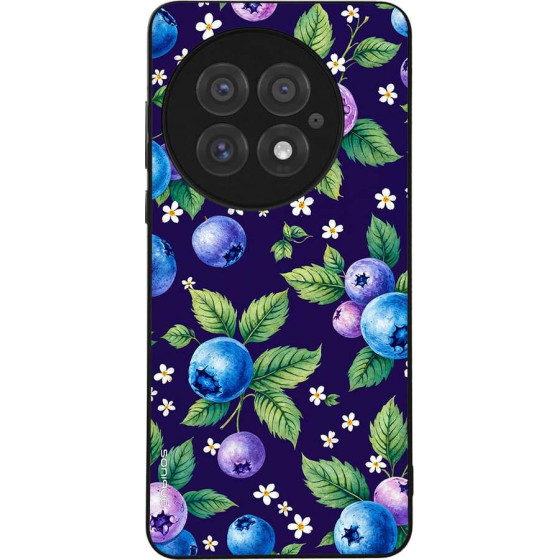 Sonique ���� Fruit Series ��� Oneplus 13 5G ������� 01