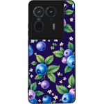 Sonique ���� Fruit Series ��� Motorola Edge 50 Ultra ������� 01