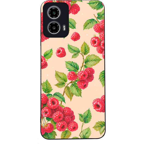 Sonique ���� Fruit Series ��� Motorola Moto G34 5G ���������