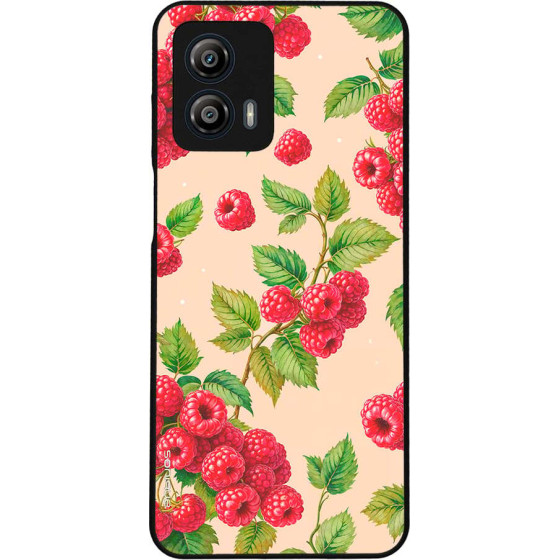 Sonique ���� Fruit Series ��� Motorola Moto G53 5G ���������