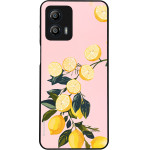 Sonique ���� Fruit Series ��� Motorola Moto G53 5G ������