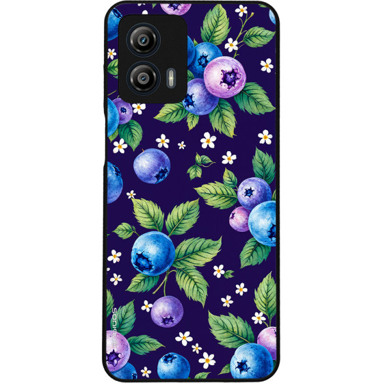 Sonique ���� Fruit Series ��� Motorola Moto G53 5G ������� 01