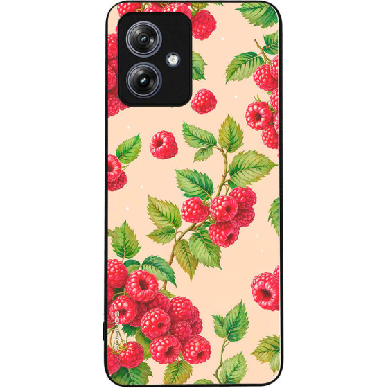 Sonique ���� Fruit Series ��� Motorola Moto G54 5G / Moto G54 5G Power ���������