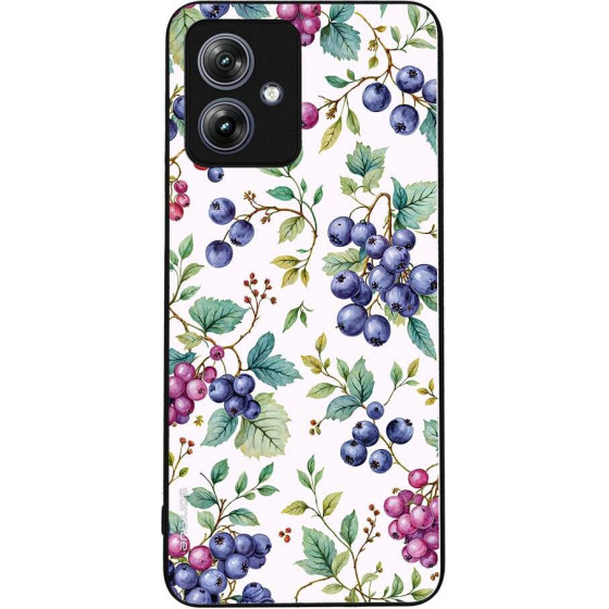 Sonique ���� Fruit Series ��� Motorola Moto G54 5G / Moto G54 5G Power �������
