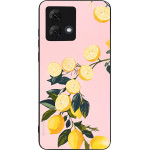 Sonique ���� Fruit Series ��� Motorola Moto G84 5G ������