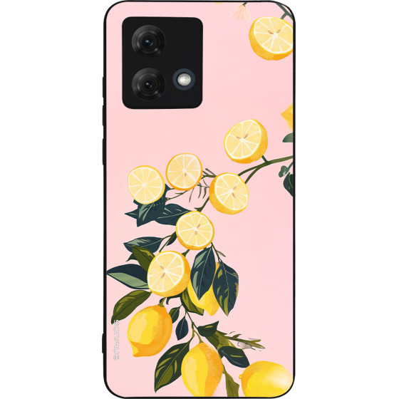 Sonique ���� Fruit Series ��� Motorola Moto G84 5G ������
