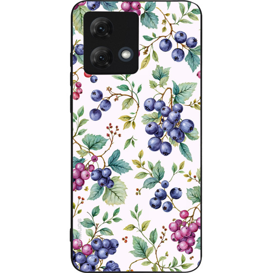 Sonique ���� Fruit Series ��� Motorola Moto G84 5G �������