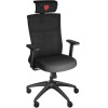 GENESIS Ergonomic Chair Astat 200 G2 Black - (NFG-1943)