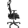 GENESIS Ergonomic Chair Astat 700 G2 Black - (NFG-1945)
