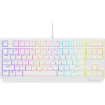 GENESIS Gaming Keyboard Thor 230 Tkl Us Rgb Mechanical Outemu Brown White Hot Swap - (NKG-2080)