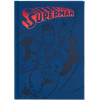 Erik Premium �������� �5 �� ������ �������� Dc Comics Superman