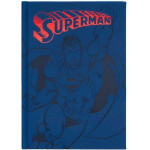 Erik Premium �������� �5 �� ������ �������� Dc Comics Superman