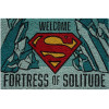 Erik ������ ������� 60X40�� Dc Comics Superman Fortress Of Solitude