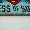 Erik ������ ������� 60X40�� Dc Comics Superman Fortress Of Solitude