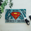 Erik ������ ������� 60X40�� Dc Comics Superman Fortress Of Solitude