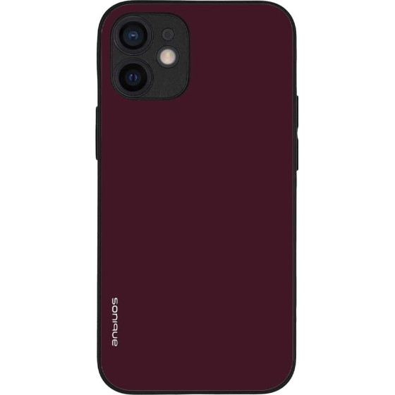 Sonique ���� Colorbloc Series ��� Apple Iphone 12 Mini �������