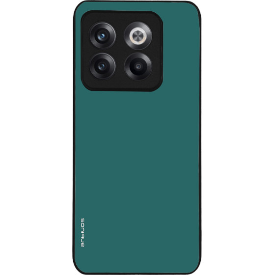 Sonique ���� Colorbloc Series ��� Oneplus 10T ������