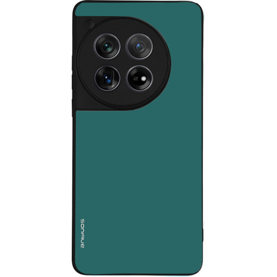 Sonique ���� Colorbloc Series ��� Oneplus 12 5G ������