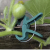 Gardlov Plant Clips - 108 pcs. 22586 - (17557-0)