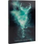 Erik Premium �������� �5 �� �������� �� ��������� ������ ���� �����