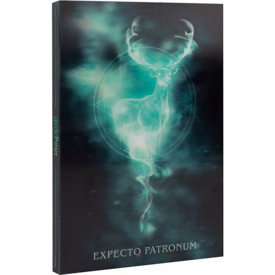 Erik Premium �������� �5 �� �������� �� ��������� ������ ���� �����