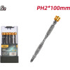 DELI ��� ����� ����������� ��� ����������������, ����� ������, PH2x100mm, �� ��������� ring, 10��� - (DL255100)