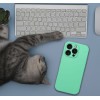 Case Silicone 2mm For Iphone 17 Pro Max Compatible With Magsafe Mint OEM