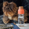 Quokka Ice - Ecozen Water Bottle 720 Ml (Birds) - (06989)
