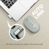 Alcatroz Wireless Longlasting Silent Mouse Osmosis - (AIRMOUSE-3S-OS)