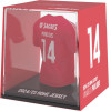 FanCollex: Myjersey - Benfica Home 2024/25 Vangelis Pavlidis (01MY00024)