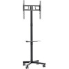 Gembird Tv Floor Stand Tilt With Caster Wheels 32'-55' Black - (TVS-55T-03)