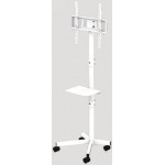 Gembird Tv Floor Stand Tilt With Caster Wheels 32'-55' White - (TVS-55T-03-W)