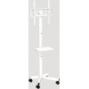 Gembird Tv Floor Stand Tilt With Caster Wheels 32'-55' White - (TVS-55T-03-W)